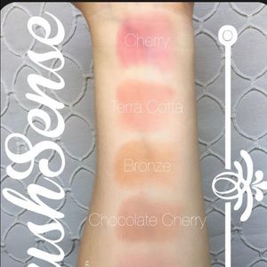 Senegence Blush and Shadowsense